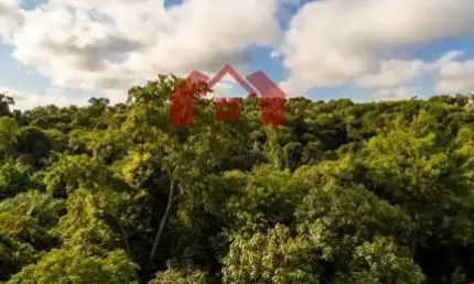 Casa em Condomínio para Venda em Santana de Parnaíba, Alphaville, 4 dormitórios, 4 suítes, 2 banheiros, 6 vagas