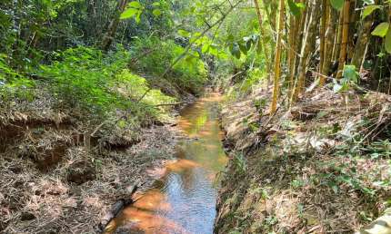 Sítio em Gravataí 2 hectares entrada e parcelamento direto