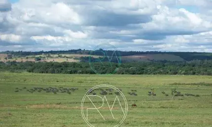 Fazenda à venda, 124 alqueires, Zona Rural, Santana do Itararé - PR