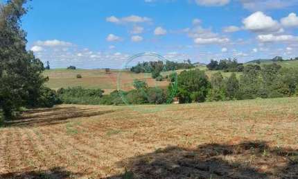 Chácara / sítio com 4 quartos à venda na Zona Rural, Ibiporã 