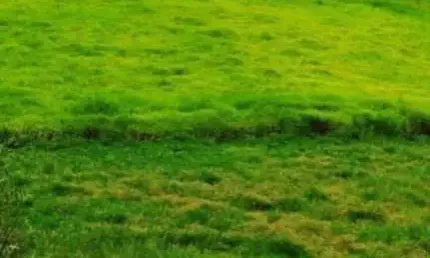 Terreno industrial para venda em arujá, parque dos jacarandás