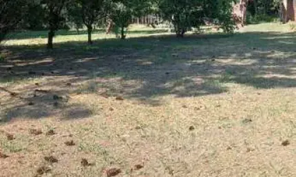Terreno à venda na Estrada da Casa Branca da Serra.., 1, Cadiz, Gravataí por R$ 220.000