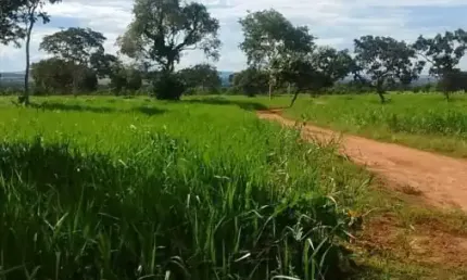 Fazenda à venda na Zona Rural, Jangada 