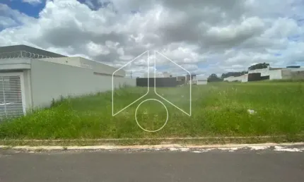 Terreno à venda na Rua Anesio Gualtieri, 1124, Sérgio Roim (Padre Nóbrega), Marília