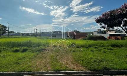 Terreno à venda na Rua Armando Guelpa, Fase 1, 50, Jardim Flamingo, Marília