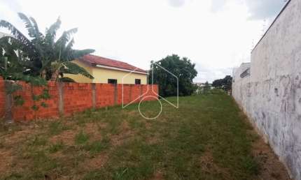 Terreno à venda na Rua Omar Nunes Cardoso, 67, Jardim Cavallari, Marília