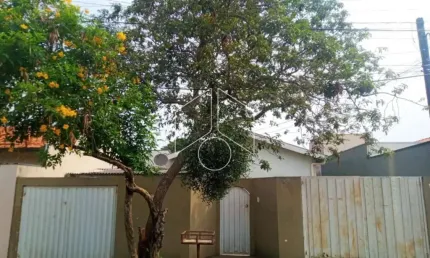 Casa com 3 quartos à venda na Rua Elis Regina, 20559, Parque Residencial Novo Horizonte, Marília