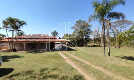 Chácara / sítio com 2 quartos à venda na Nair Urna Raspante, 20063, Padre Nóbrega, Marília