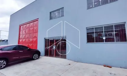 Barracão / Galpão / Depósito à venda na Rodovia Transbrasiliana, 20263, Jóquei Clube, Marília