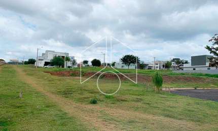 Terreno em condomínio fechado à venda na Rua Armando Guelpa, Fase 1, 89, Jardim Flamingo, Marília