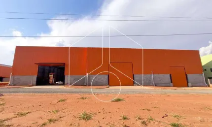 Barracão / Galpão / Depósito à venda na Rodovia Comandante João Ribeiro Barros Km 464, Metros, 50068, Padre Nóbrega, Marília