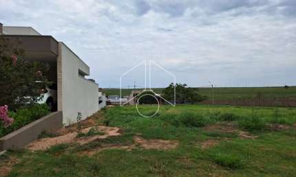 Terreno à venda na Rua Armando Guelpa, Fase 1, 68, Jardim Flamingo, Marília