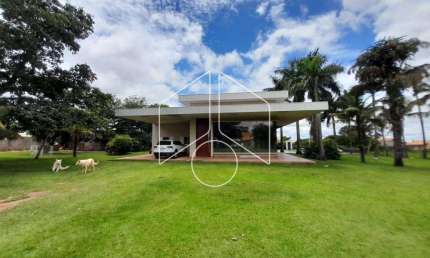 Chácara / sítio com 4 quartos à venda na Avenida João Spadoto, Quadra 7, 30263, Sítios de Recreio Santa Rosa (Padre Nóbrega), Marília