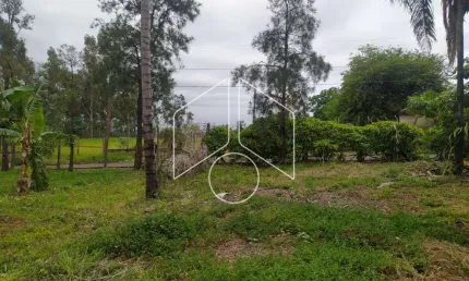 Chácara / sítio à venda na Alameda Santa Carolina, 80, Sítios de Recreio Santa Carolina, Marília