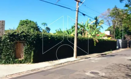 Chácara / sítio à venda na Rua Bartolo Viudes, 50, Vila Romana, Marília
