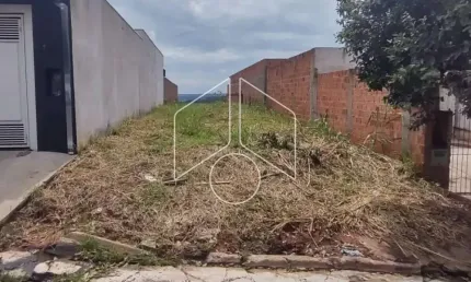 Terreno à venda na Rua Doutor Manoel Peregrino Da Silva, 0, 68, Jardim Universitário, Marília