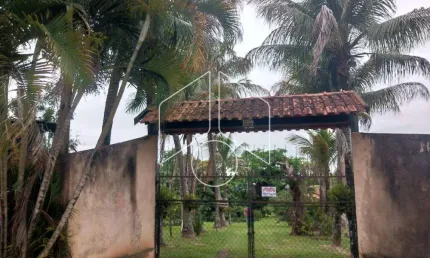 Chácara / sítio com 2 quartos à venda na Maria Francisca Dos Santos, Bairro Monte Estrela - Atrás Da Coca Cola, 20394, Área Rural de Marília, Marília