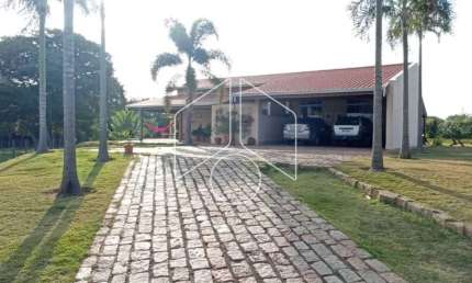 Chácara / sítio com 4 quartos à venda na Avenida João Spadoto, Quadra 16, 30298, Sítios de Recreio Santa Rosa (Padre Nóbrega), Marília