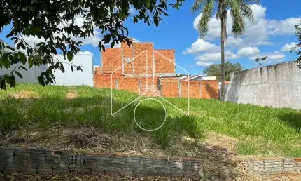 Terreno / Fora de Condomínio - Jardim Dom Frei Daniel Tomasella - Venda - Residencial