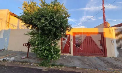 Casa com 3 quartos à venda na Rua Padre José de Anchieta, 60282, Alto Cafezal, Marília