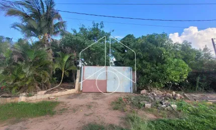 Chácara / sítio à venda na Rua Luiz Antonio Baraldi, 73, Sítio de Recreio São Tomé, Marília