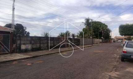 Terreno à venda na Rua Cananéia, 7137, Betel, Marília