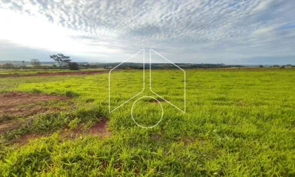 Terreno à venda na Avenida João Procópio Da Silva, Rua 8, 58, Jardim Esmeralda, Marília