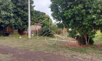 Terreno à venda na Avenida Doutor Adhemar de Toledo, 89, Jardim Universitário, Marília