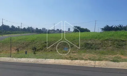 Terreno à venda na Rua José Guilherme Miranda, 10684, Jardim Tropical, Marília