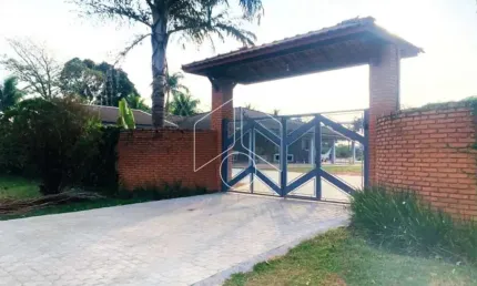 Chácara / sítio com 3 quartos à venda na Avenida João Spadoto, Quadra 12, 30255, Sítios de Recreio Santa Rosa (Padre Nóbrega), Marília