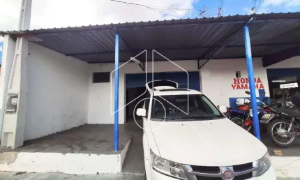 Barracão / Galpão / Depósito à venda na Rua Raul Pimazoni, 1066, Jardim América, Marília