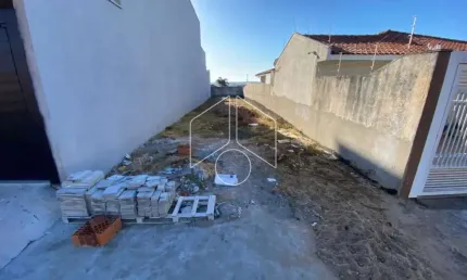 Terreno à venda na Rua Doutor Zoroastro Gouveia, Entre O Numero 306 E 318, 53, Jardim Universitário, Marília