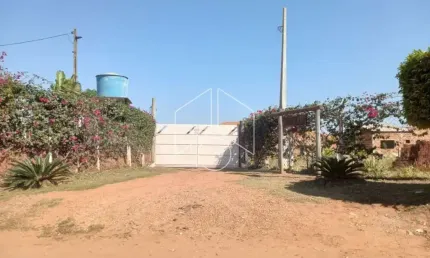 Chácara / sítio com 3 quartos à venda na Avenida Sampaio Vidal, 10860, Padre Nóbrega, Marília