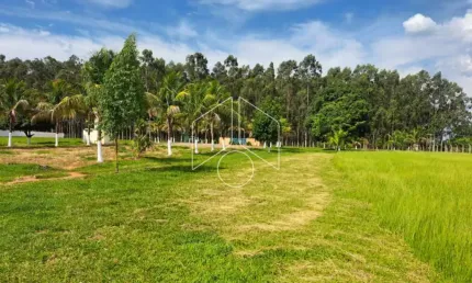 Chácara / sítio à venda na Nilce Miquelette Alves, 40071, São Paulo, Marília
