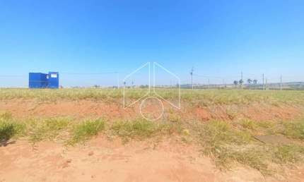 Terreno / Dentro de Condomínio - Venda - Residencial | Jardins do Ipê