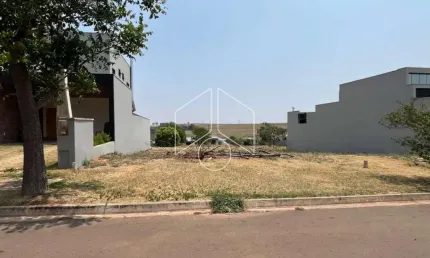 Terreno em condomínio fechado à venda na Rua Armando Guelpa, Fase 1, 83, Jardim Flamingo, Marília