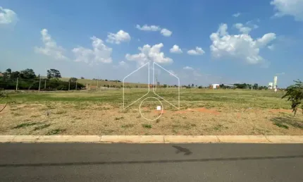 Terreno à venda na Avenida João Procópio da Silva, 79, Jardim Esmeralda, Marília