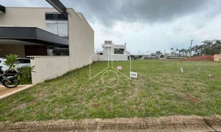 Terreno em condomínio fechado à venda na Avenida Doutor José Guimarães, 52, Jardim América, Marília