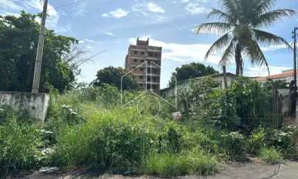 Terreno à venda na Rua Rodrigues Alves, 100113, Alto Cafezal, Marília