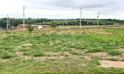 Terreno à venda na Avenida Cascata, 98, Jardim Maria Izabel, Marília