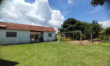 Terreno à venda na Avenida Etore Tiveron, 40854, Parque dos Sabiás II (Padre Nóbrega), Marília