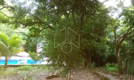 Chácara / sítio com 2 quartos à venda na Rua Francisco Sampaio Porto, 2131, Jardim Virgínia, Marília
