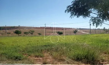 Terreno à venda na Rua Magali Aparecida Pinha Amaral Alonso, 55, Parque das Flores, Marília