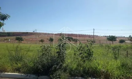 Terreno à venda na Rua Magali Aparecida Pinha Amaral Alonso, 68, Parque das Flores, Marília