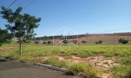 Terreno à venda na Rua Magali Aparecida Pinha Amaral Alonso, 80, Parque das Flores, Marília