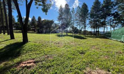 Terreno à venda na Avenida das Grevilhas, 188, Loteamento Residencial Vale do Canaã, Marília