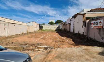 Terreno comercial à venda na Rua Bonfim - Ao Lado Do Nº, Terreno, 10475, Alto Cafezal, Marília