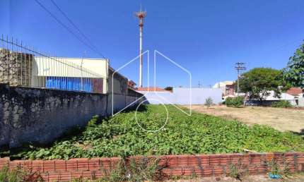 Terreno comercial à venda na Rua Sete de Setembro, 72, Alto Cafezal, Marília