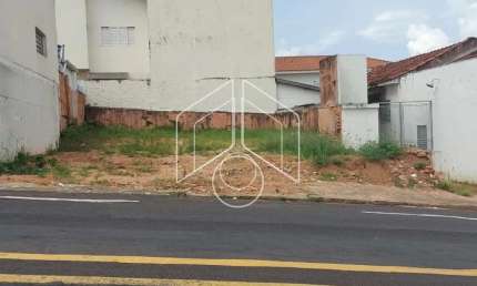 Terreno comercial à venda na Avenida Santo Antônio, 103150, Alto Cafezal, Marília