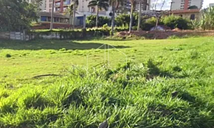 Terreno comercial à venda na Rua Doutor Gabriel Monteiro da Silva, 89, Jardim Dirceu, Marília